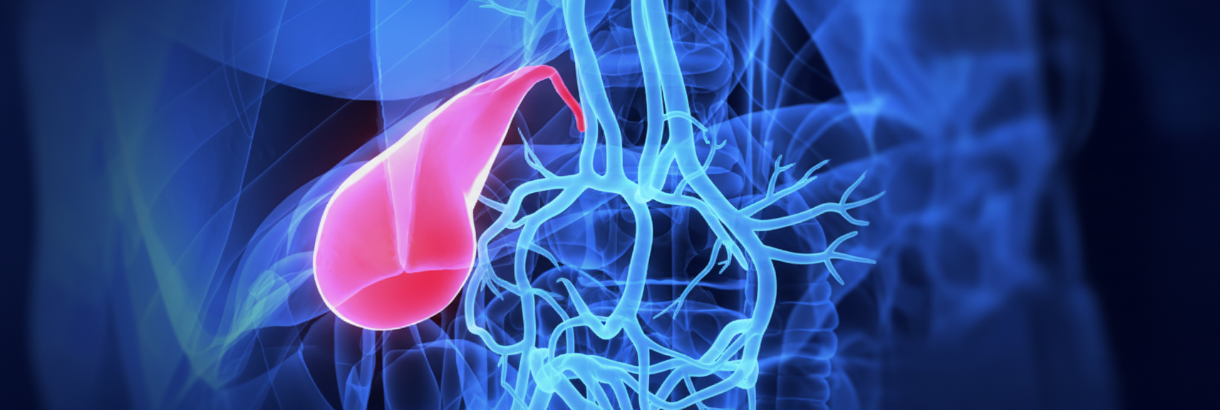 ERCP Treatment In Ahmedabad